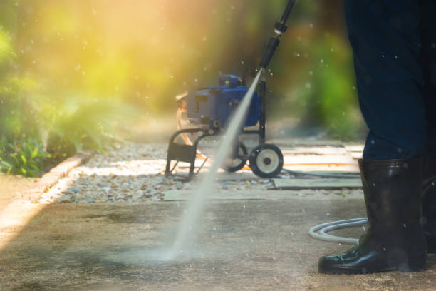 Best House Exterior Washing  in Kountze, TX